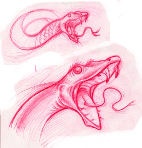 Snake Sketches