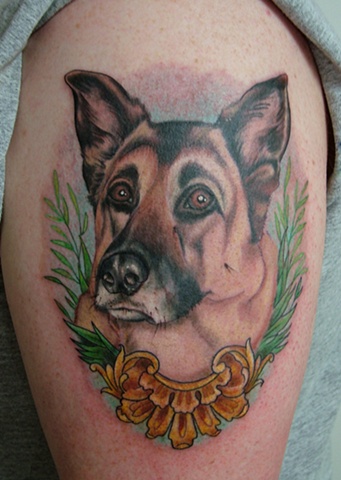 dog portrait tattoo stina sardinha wulfe german shepherd, tattoo junkies, traditional, wulfe, art, stina, tat, tattoo, portsmouth, NH, boston, cool tattoo, ink, new hampshire, hobos, iron works, piercing, james, christina, sardinha 