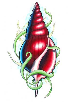 Shell