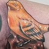 Steep Birds