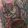 Orr Owl 