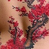 Karley's Back blossoms