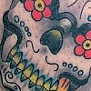 PEt skull