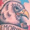 Eagle head