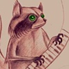 Raccoon