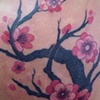 Cherry Branch