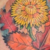 dandelion