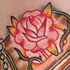 Rose in a box