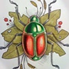 Japanese Beetle