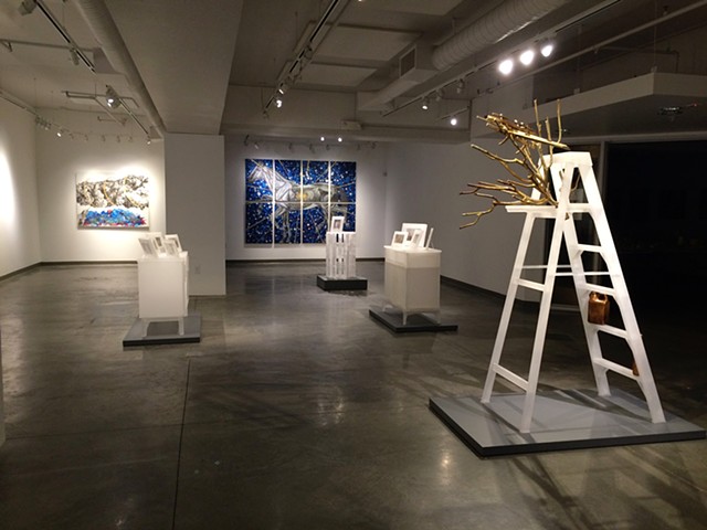 Installation at Blue Line Gallery- Roseville, CA.