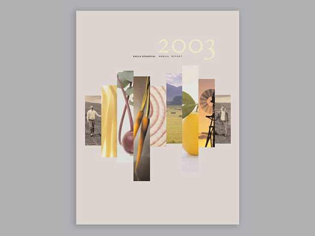 PAULA Financial 2003 Annual Report