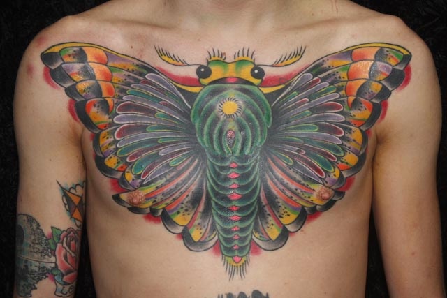 Bryce's Moth Cover-up