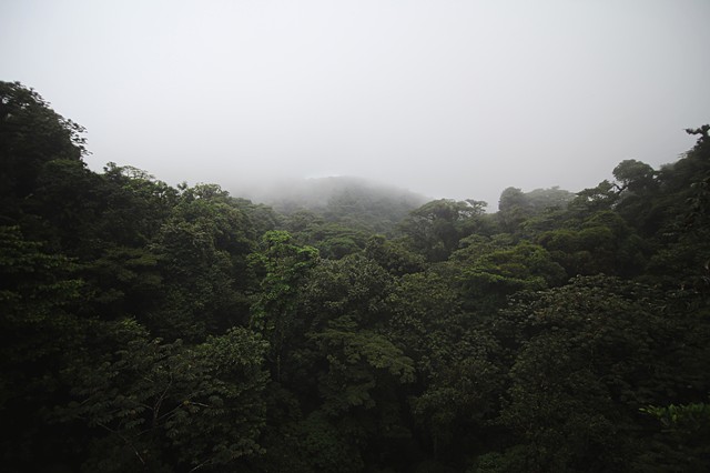 Monte Verde | Costa Rica