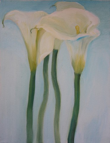 Cala lilies