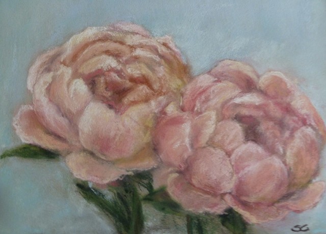 Two peonies