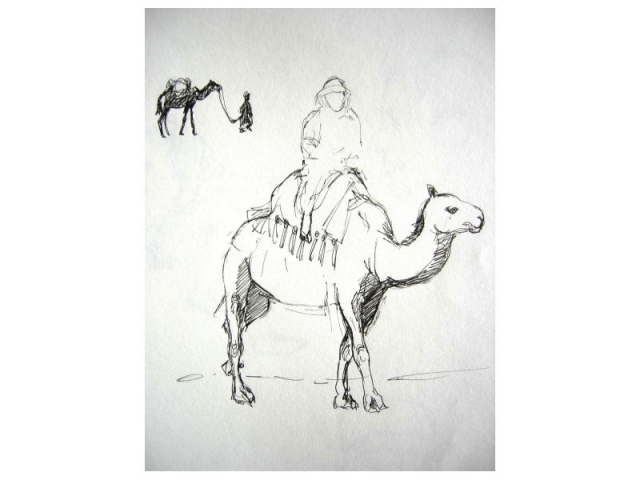 camel