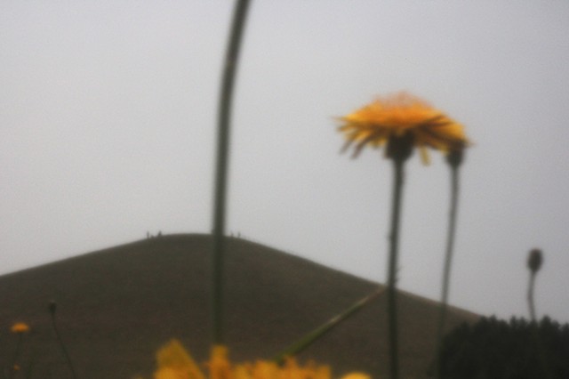 Where I End, the Mountain Begins 
(I.A.W.A. Residency, Japan, 2024)
