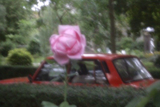 Groundkeeper's Car, from the Monuments and Flowers series 