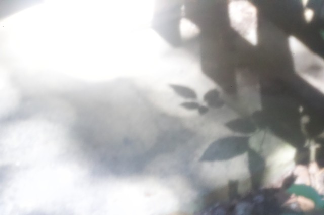 Shadows and Weeds at the Threshold of a Climbing Kiln, Tokoname