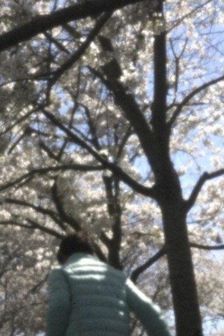 Tidal Basin