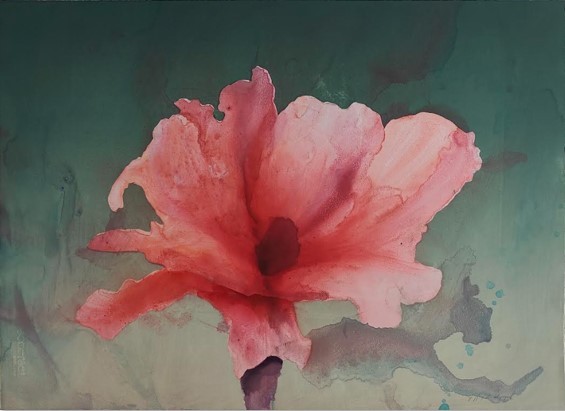Jeffrey Sippel