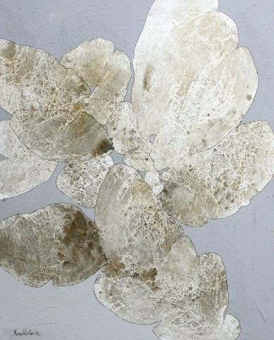 Fragments Coral XXVII 60 x48