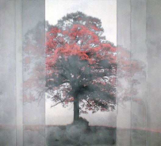 "Tree with Red Leaves"