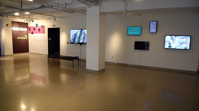 EL-Putnam04-gallery
