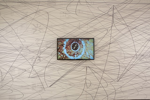 Matthew Ritchie, Installation View, Carol Schlosberg Alumni Gallery, Montserrat College of Art