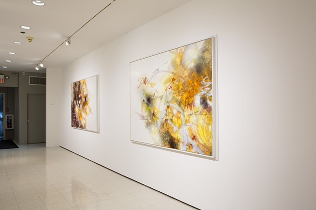 Matthew Ritchie, Installation View, Carol Schlosberg Alumni Gallery, Montserrat College
