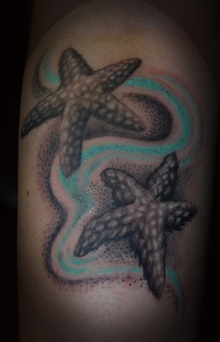 Sea starfish tattoo David Zobel at Caspian tattoo Lynchburg Virginia