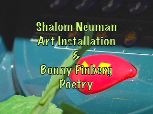 Shalom Neuman Installation
Bonnie Finberg Poetry