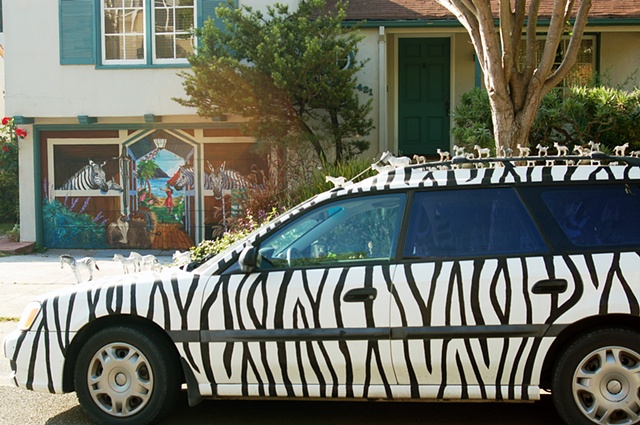 Zebra Car