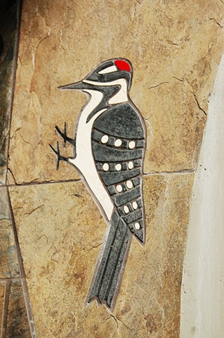 Segal Woodpecker