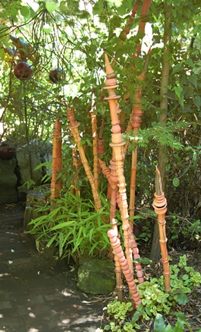 Bamboo, Donahue Garden