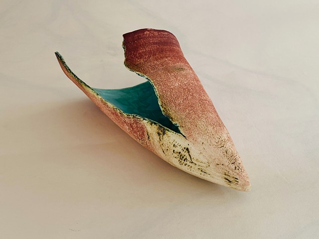 Red Shell II- another angle