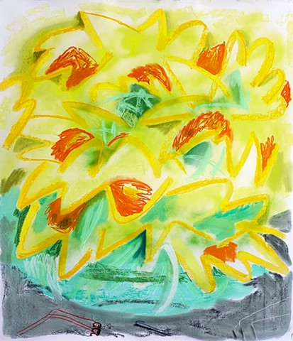 Daffodil Diary