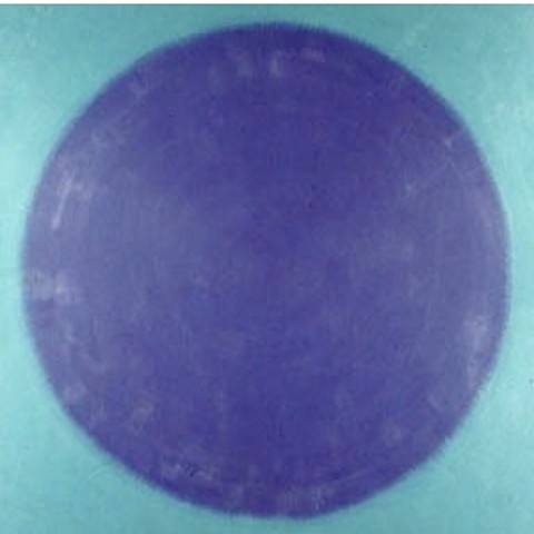 Grape Dot on Light Blue Field 