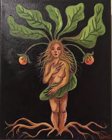Mandrake Root - Female