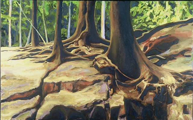 Tree Roots, Falling Waters Trail, NH - SOLD