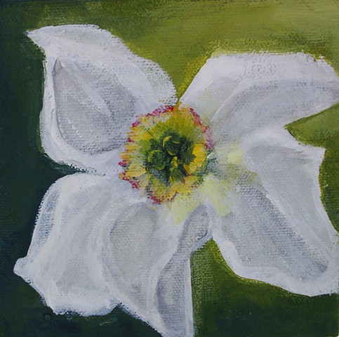 hope white flower art at war