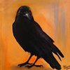 Blackbird (Mystic Crow)