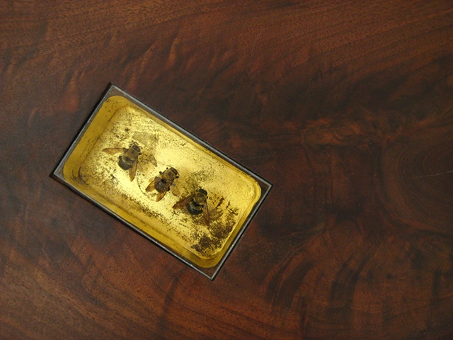 bee coffee table (bees)