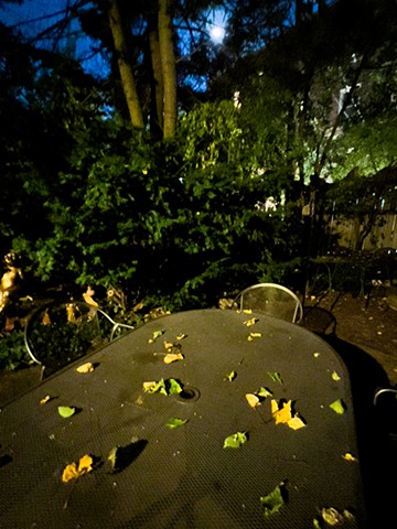 Partial lunar eclipse and confused leaves