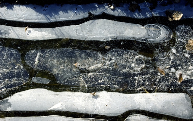 Ice Siskind, Hegewisch Marsh, Calumet area, Chicago