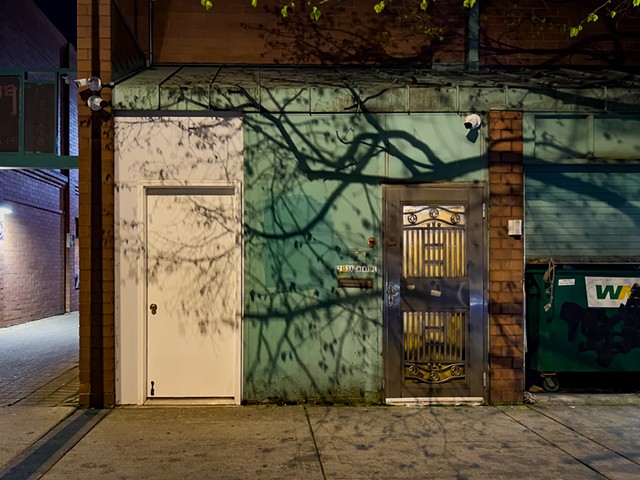 Chinatown alley, Chicago