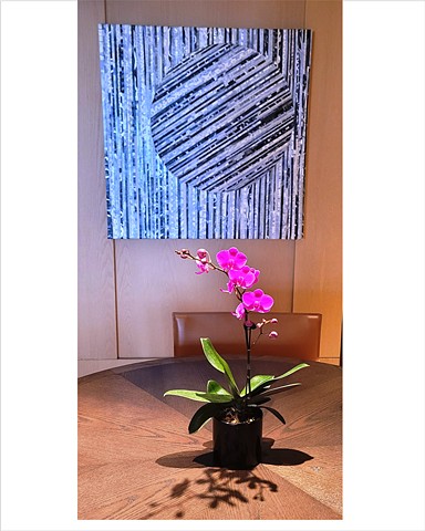 Hotel Conrad Orchard, Executive Meeting Room, Singapore