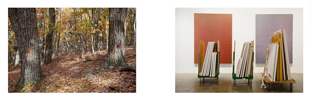 Diptych: Trail Blazes, Lost River State Park, West Virginia (orange and red)/Whitney Biennial Installation (Tauba Auerbach + Charles Ray fragments) 2010.

