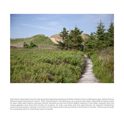 Boardwalk, Grand Tracadie Beach, Prince Edward Island, June 12, 2022.  