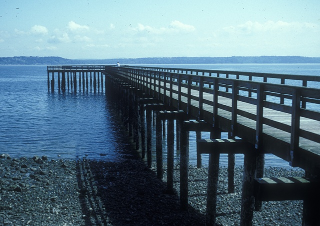 Subtidal Zone (site of drop)
1996